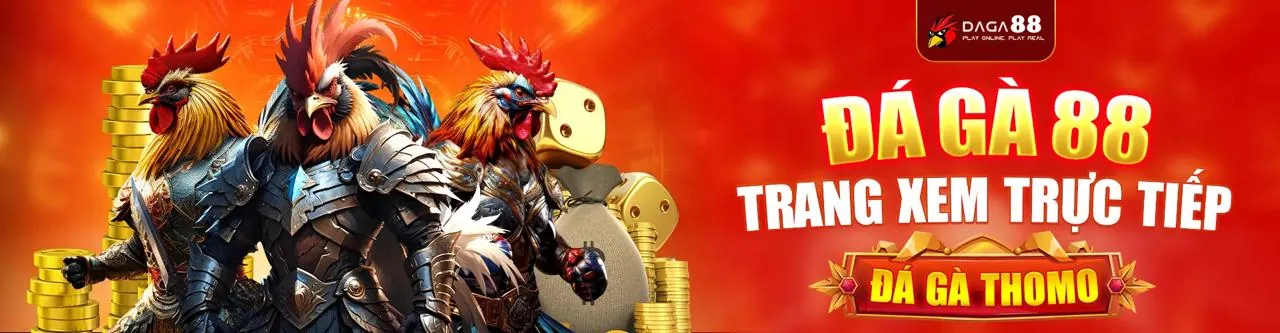 Đá Gà Trực Tuyến Hấp Dẫn tại betvnd9 app